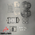 V476-365-000 Air End Kit fits Sandpiper Pumps S30NM DL3, OEM # 476.365.000 (V476-365-000)