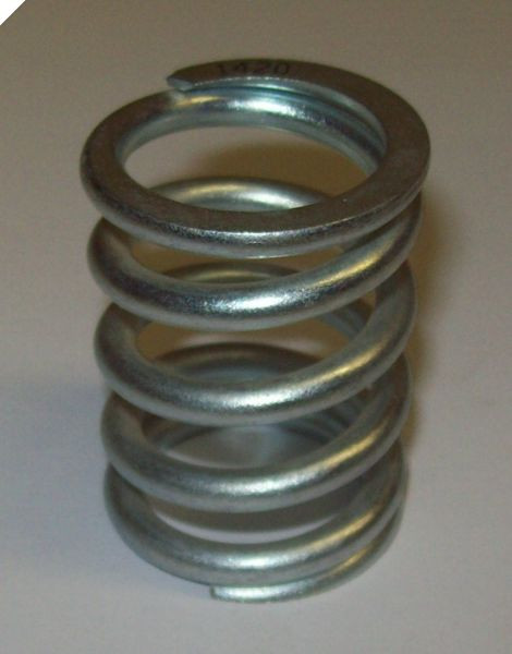 421806 Blackmer Spring-voigtabstore.com