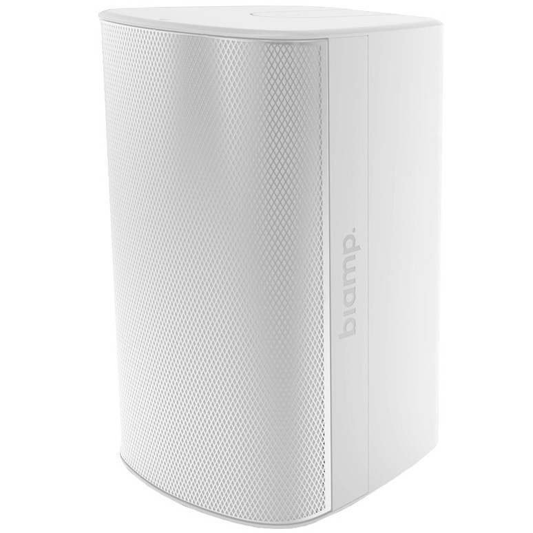 Biamp Desono EX-S6-UB 6.5-inch 2-Way Indoor Outdoor 70V Surface