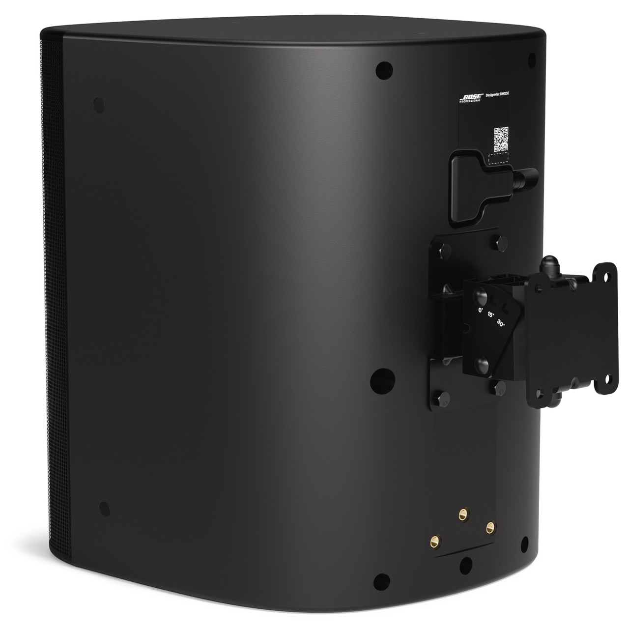 Bose Professional DesignMax DM12SE 12-inch Coaxial Surface-Mount