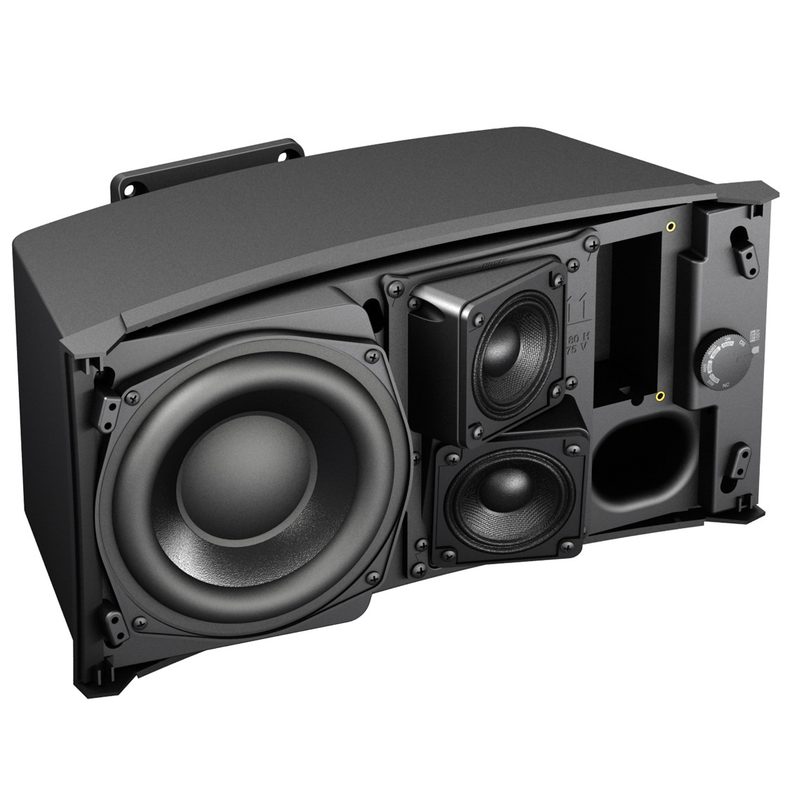 Bose FreeSpace DS 100SE Indoor/Outdoor Loudspeaker 8 Ohm 70/100