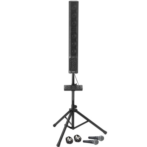 Fishman SA330x Solo Performance Audio System with a 4-Channel Expander (Discontinued)