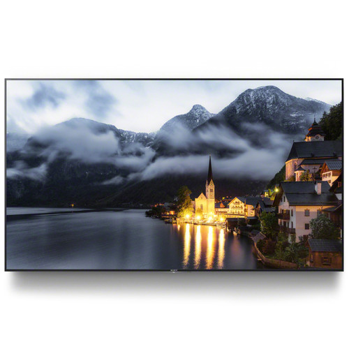 SONY FWD49X900E 49" BRAVIA 4K HDR Professional Display (Discontinued)