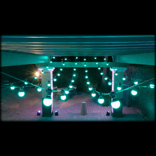 CHAUVET DJ Festoon Dynamic Indoor Outdoor Rated Pixel-Mappable DMX LED Party Light String (Discontinued)