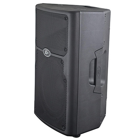 Peavey PVX 10 10"  2-Way Passive Loudspeaker