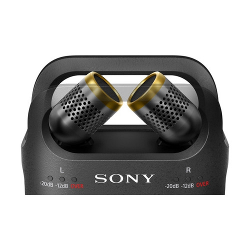 SONY PCM-D10 High-Resolution Linear PCM Audio Recorder