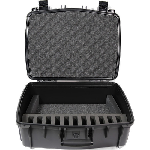 Williams AV DWS INT 2 400 ALK Digi-Wave Interpretation System
