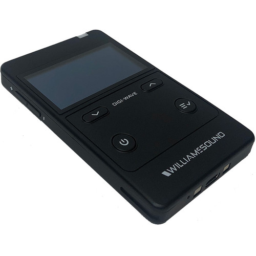 Williams AV DWS INT 4 400 RCH Digi-Wave Interpretation System