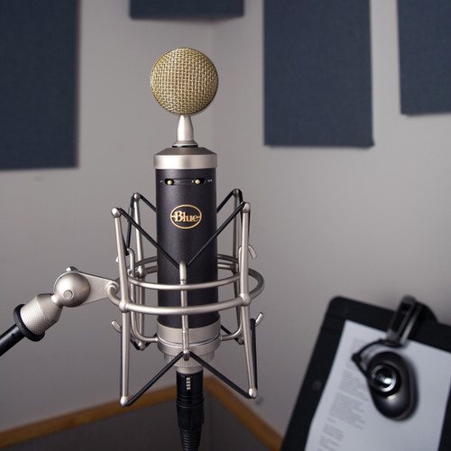 Blue Microphones Baby Bottle SL Large-Diaphragm Studio Condenser Microphone