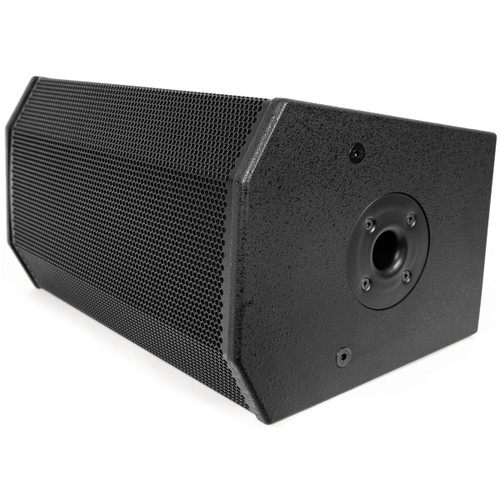 Pure Resonance Audio P110 10" 300W 2-Way Passive Loudspeaker (Discontinued)