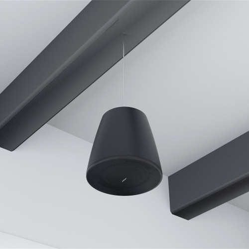 Bose DesignMax DM10P-SUB Hanging Pendant
