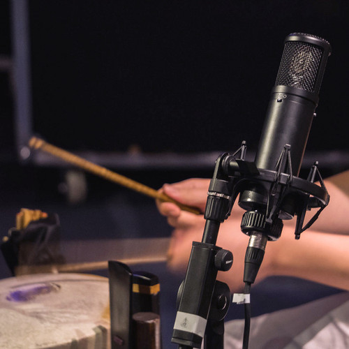sE Electronics sE2300 Studio Condenser Microphone with Switchable Polar Patterns and Isolation Pack