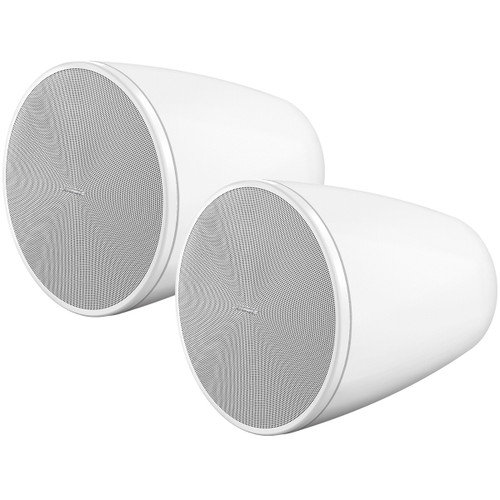 Bose DesignMax DM6PE Pendant Loudspeaker