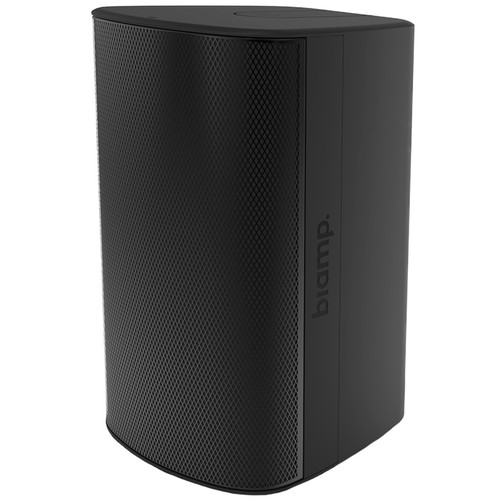 Biamp Desono EX-S6