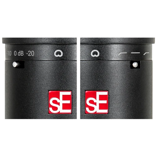 sE Electronics sE2200 Large Diaphragm Cardioid Condenser Microphone with Shock Mount and Pop Filter