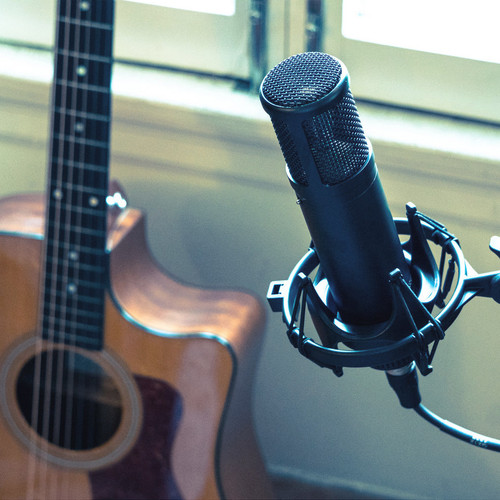 sE Electronics sE2200 Large Diaphragm Cardioid Condenser Microphone with Shock Mount and Pop Filter