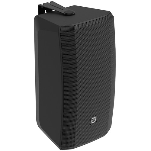 Atlas Sound AS-10T All-Weather 10-inch Surface Mount Speaker