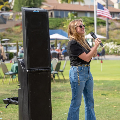 Anchor Audio BIG3-U4 Bigfoot 3 Line Array Portable PA System with Bluetooth and Two Dual Wireless Mic Receivers (Discontinued)
