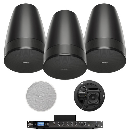 Bose Restaurant Speaker System with DesignMax Luna Speakers