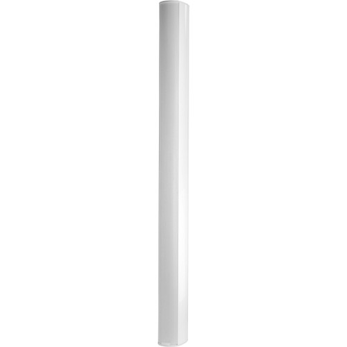 Biamp Desono ENT220W 500W 2-Way 70V/100V Indoor/Outdoor Column Point Source Loudspeaker - White