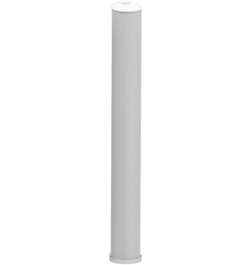 Biamp Desono ENT-LFW Column Line Array Loudspeaker