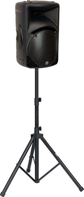 Mackie C300z 12" 2-Way Passive Loudspeaker 