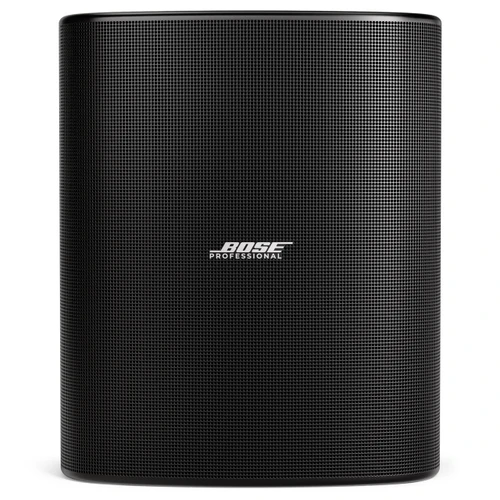 Bose Professional DesignMax DM12SE 12-inch Indoor/Outdoor Surface Mount Loudspeaker
