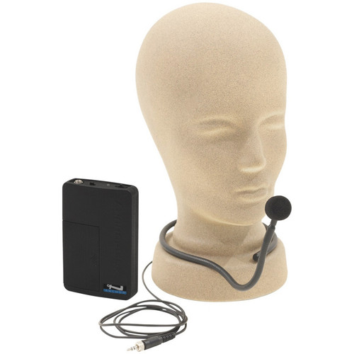 Anchor Audio MegaVox 2 System 2 Auctioneer Sound System with Built-in Bluetooth and 2 Wireless Microphones