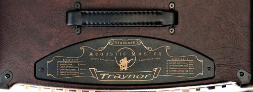 Traynor AM Standard Acoustic Amplifier