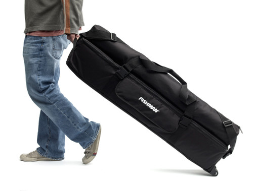 Fishman SA220 Solo Performance System (Discontinued)