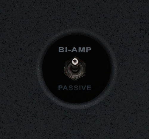 Yamaha IF2115/AS 15" Loudspeaker 60 - 100° x 60° Asymmetrical Horn (Discontinued)