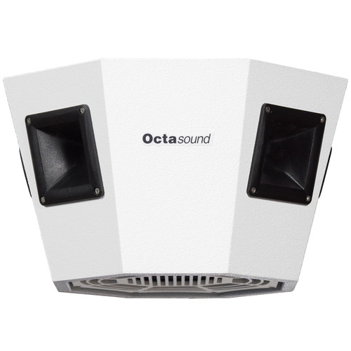 Octasound SP810A 10" Central Speaker System (Discontinued)