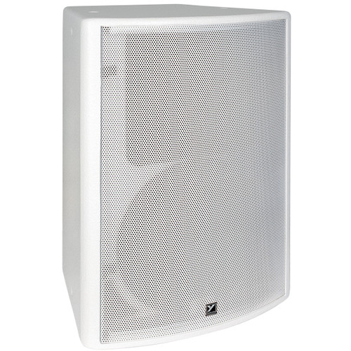Yorkville C2285 Coliseum Series 12" 2-Way Installation Loudspeaker (Discontinued)