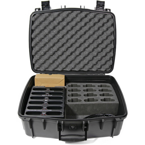Williams Sound DWS TGS 23 300 1-Way Digi-Wave Tour Guide System 23 (Discontinued)