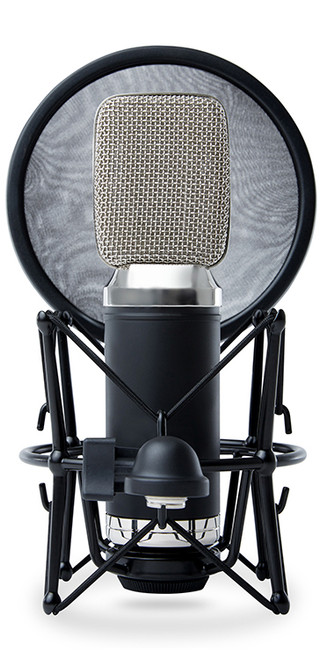 Marantz Professional MPM-3500R Ribbon Microphone with Ultra Low-Mass Diaphragm (Discontinued)