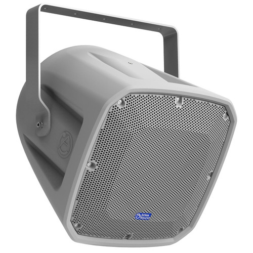 Atlas Sound FS12T 12" All-Weather Loudspeaker