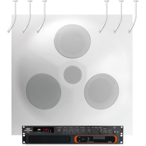 Conference Room Sound System with Premium SD5 SuperDispersion Ceiling Speaker Array and 6 Biamp Ceiling Hanging Microphones (Discontinued Components)