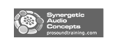 Synergetic Audio Concepts
