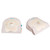 Sensura Mio Convex Flip Ostomy Pouch 1PC CTF- 1-3/16 Inch Stoma