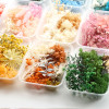1 Box  Artificial Plants Natural Real Dried Flowers  for Candles Mold