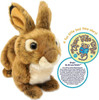 Viahart Tiger Tale Toys Brigid the Brown Rabbit 10 Inch Stuffed Animal