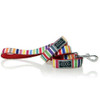 Doog Neoprene Dog Lead (Scooby - Multi Colour Stripped)