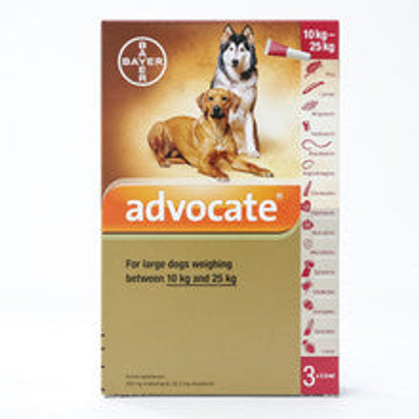 Advocate for Large Dogs 10-25kg (22-55lbs), 3 Pack