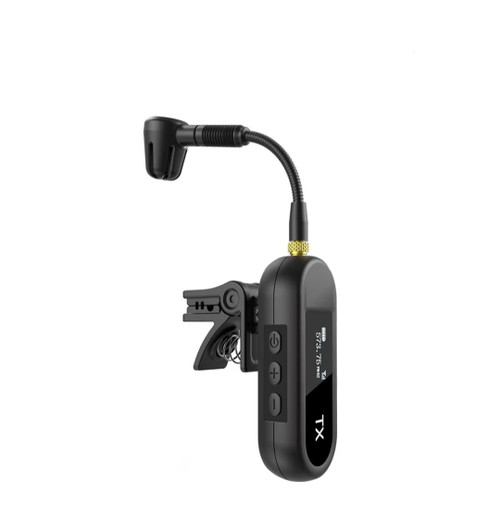 Wireless Mic