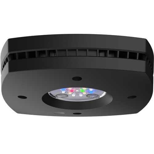 AI Hydra Prime 16 HD Freshwater LED Module - Black Body
