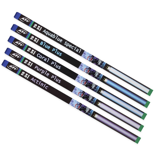 ATI 80W True Actinic 03