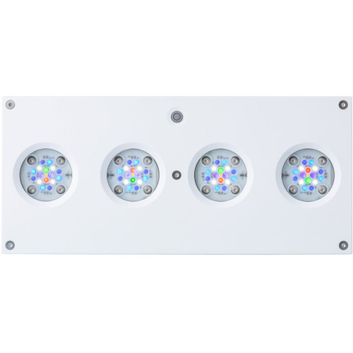 AI Hydra 64 HD LED Module - White Body