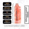 Watermelon Cherry Lost Mary MO5000 Disposable Vape Specifications