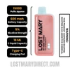 Red Strawberry Lost Mary MT15000 Turbo Specifications