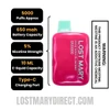 Rose Sour Plum Mint Lost Mary OS5000 Disposable Vape Specification